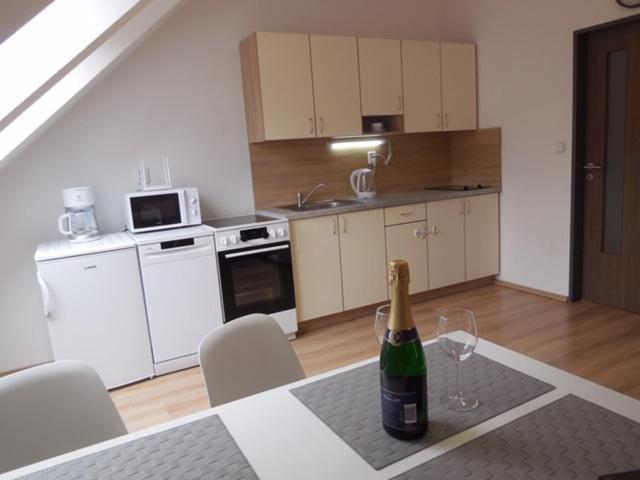 Apartman Kamenice Kamenice nad Lipou Bagian luar foto